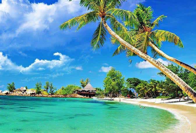 Discovering Weed in Tehran