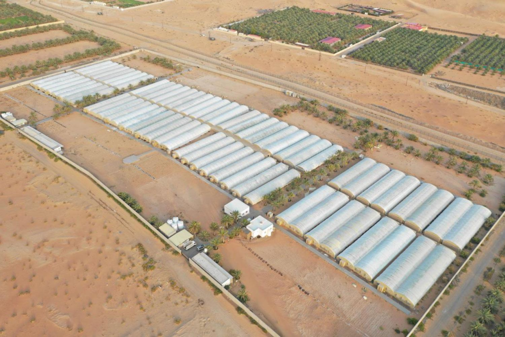 New drive to attract tourists